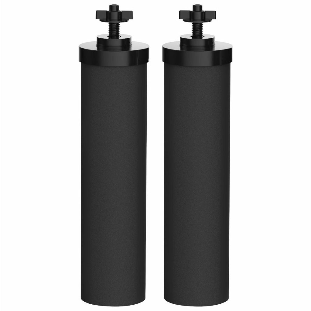Black Berkey set of 2 - Filters Approximately 6000 Gallons of Water